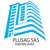 Plusagsas Logo