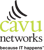 Cavu Networks Logo