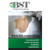 BST Global Consulting Logo