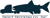 Provider Logotype Trout Trucking Co., Inc. Logo
