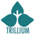 Trillium Employment Services Logo