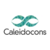 Caleidocons Oy Logo