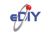 eDIY Software Logo