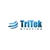 TriTek Staffing Logo