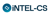 iNTEL-CS Logo