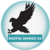 Digital hawks 24 Logo