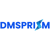 Dmsprism Logotype