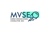 MVSEO Agency Logo