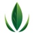 Sage Consulting Group Logo