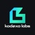 Kodexo Labs Logo