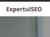 Expertul SEO Logo