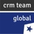 CRM Team Global Logotype