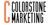 Colorstone Marketing Logo