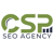 CSP Agency Logo