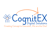 COGNITEX DIGITAL SOLUTIONS Logo