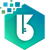 B&K Software Company Logo