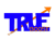 True Boost Digital Logo