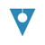 Vital Information Technology Logotype