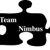 Team Nimbus NJ Logo