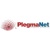 Plegma Net Logo