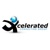 Xcelerated Consulting Group, LLC. Logo