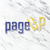 PageUp Software Services Pvt Ltd Logo
