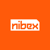 Nibex Logo