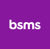 BSMS Logo