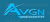 AVGN Infotech Logotype