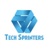 Tech Sprinters Company Logotype