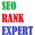 SeoRankExpert Digital Agency Logo