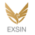 EXSIN Logo