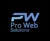 Pro web solutions Logo