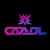 Coadal Technology Pvt. Ltd. Logo