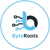 ByteRoots Logo