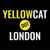 Yellow Cat Recruitment Logo