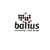 Balius Marketing & Web Design Logo