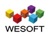 WeSoft (Shenzhen) Co., Ltd. Logo