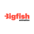 Bigfish.nl Logo