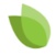 Greane Tree Technology Group, LLC Logo