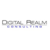 Digital Realm Consulting Logotype