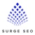 Surge SEO Logo