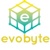 Evobyte Design Logo