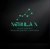 Nebula X Logo