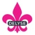 Delyse Inc. Logotype