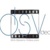 Dirk Stevens Video Logo