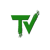 TechVizmo Logo