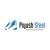 Piyush Steel Pvt Ltd Logo