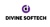 Divine Softech Logo