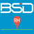 BSD Recursos Humanos S.C Logo